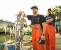 ACH & Wire Services