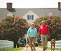 Individual Retirement Accounts (IRAs)